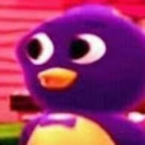 Meet your Posher, Evelyn